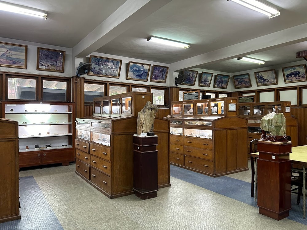 Shelves of rocks, minerals, and fossils unveil a world millions of years old